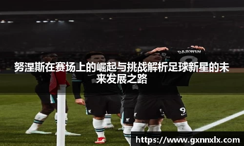 努涅斯在赛场上的崛起与挑战解析足球新星的未来发展之路